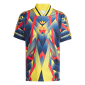 Arsenal Maillot 2025/26 Colorful