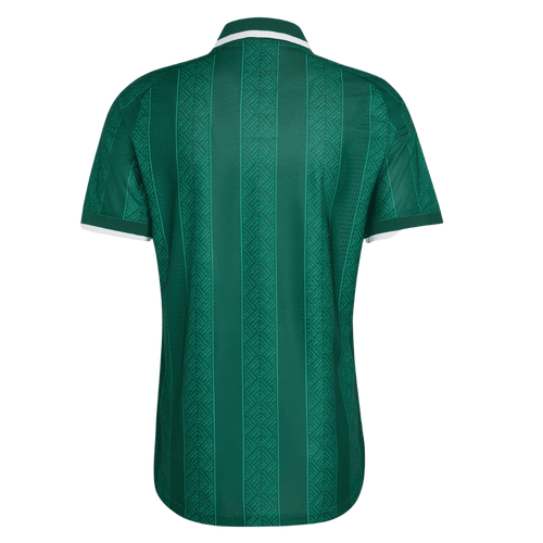 Afrique du Sud Extérieur Maillot - Coupe du Monde 2026 Vert Joueur